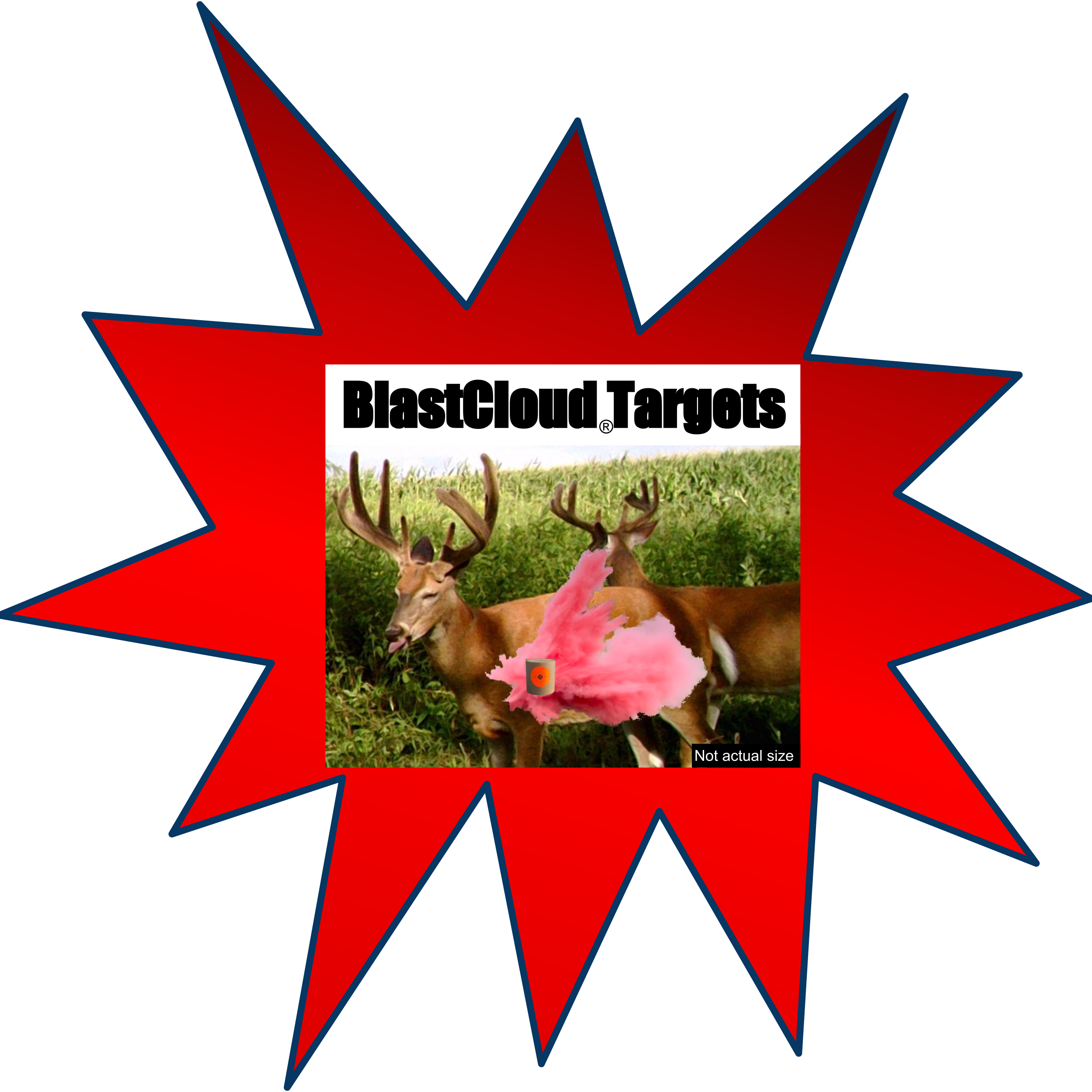 BlastCloud™ Training Targets - 3 Targets