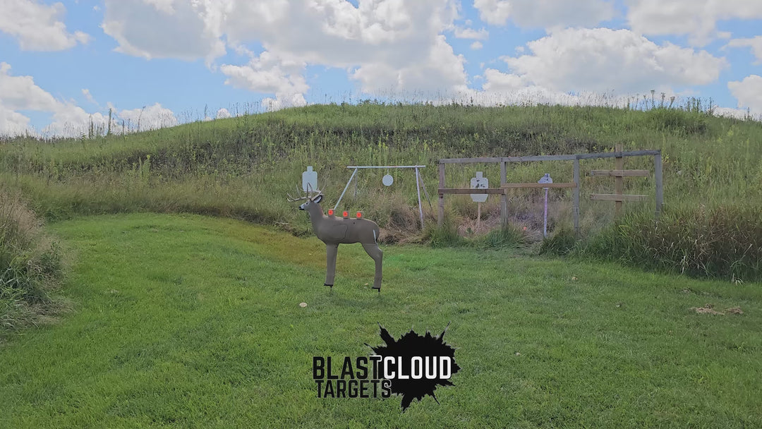 BlastCloud® Powder Shells (standard 3 inch) - 3 Single Color Targets