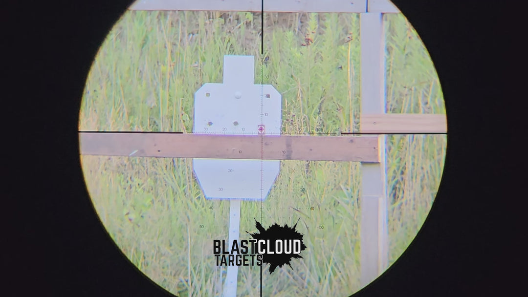 BlastCloud® Precision / Plinking Targets (1 inch) - 5 Pack