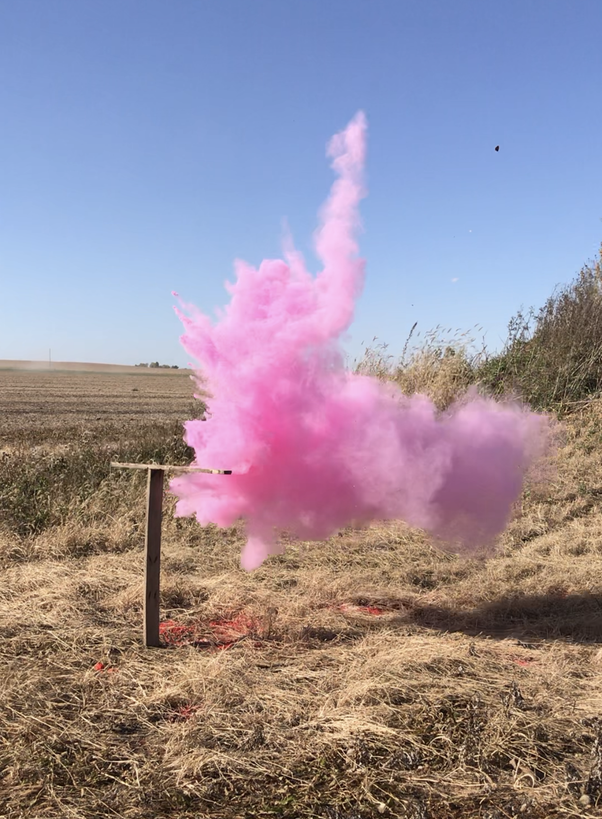 BlastCloud™ Powder Shells- 3 Targets