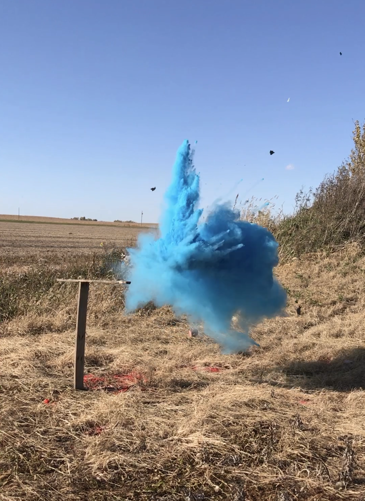 BlastCloud™ Powder Shells- 3 Targets