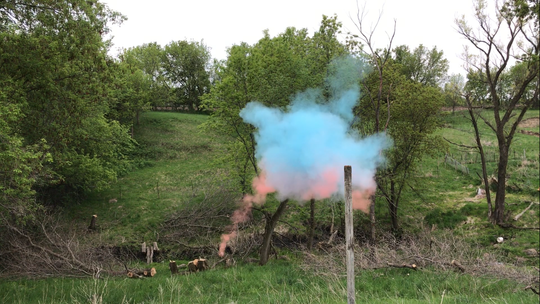 BlastCloud® Specialty Series (standard 3 inch) - 3 Dual Color Targets